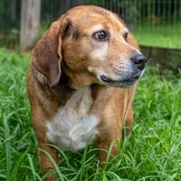 Chance - Photo 3