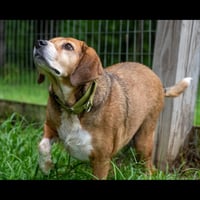 Chance - Photo 1