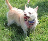 MARVELOUS MISSY - Photo 3