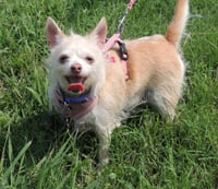MARVELOUS MISSY - Photo 1