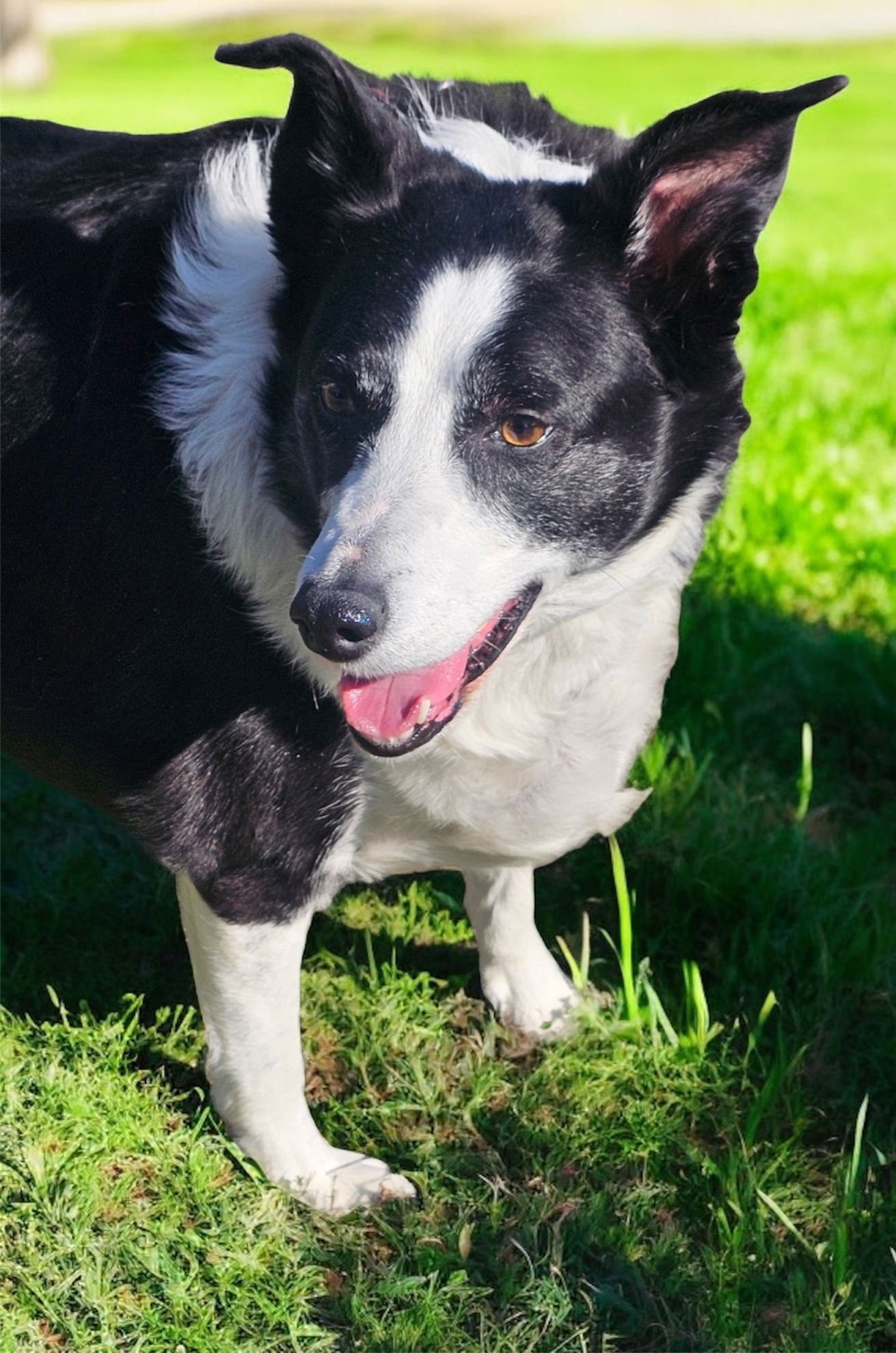 ROCK STAR - MRS RILEY RAY - Photo 3