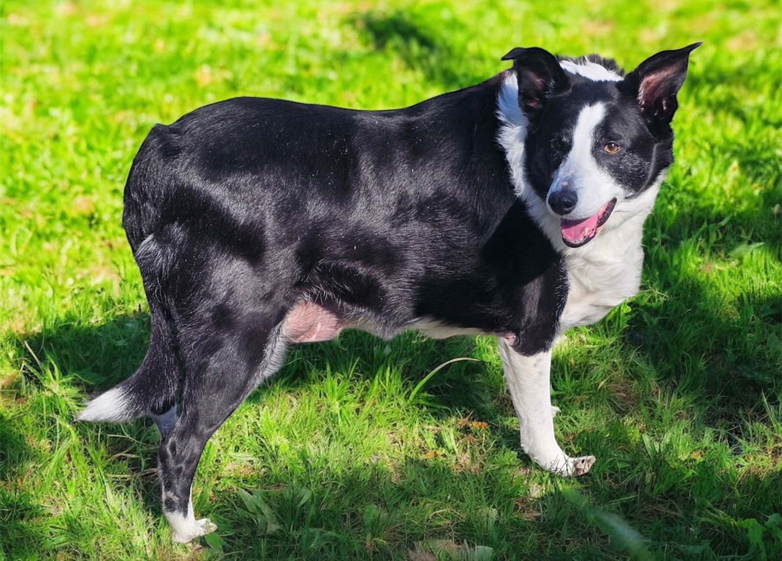 ROCK STAR - MRS RILEY RAY - Photo 4