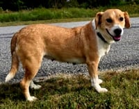 MISSY LOU - Photo 2