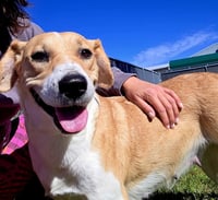 MISSY LOU - Photo 3