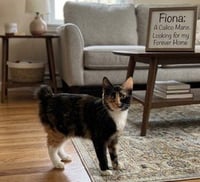 FIONA - Photo 3