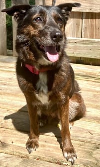 MISS FANCY - Photo 2