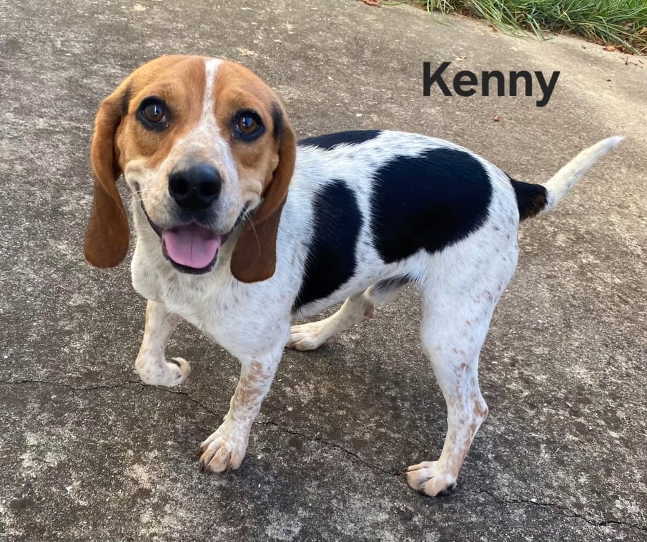 KENNY B Image