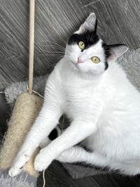 MAMA GABBY - Photo 3