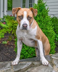 RUTHIE - Photo 2