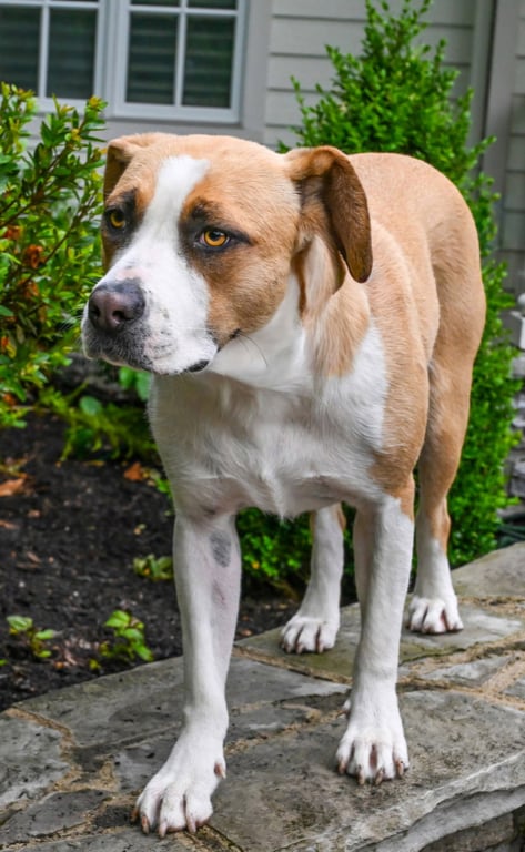 RUTHIE Image