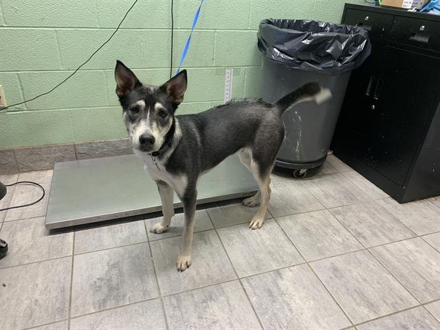 BROCK HARRISON Image