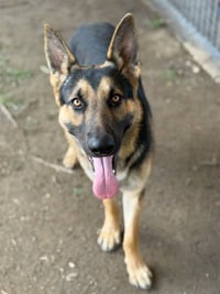 BETO - Photo 1