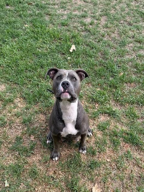 BEACH Image