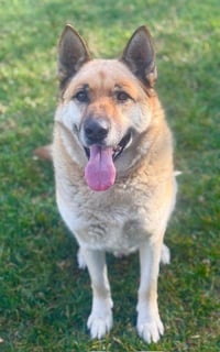 MAX - Photo 1