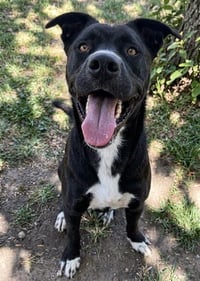 EKKO - Photo 1