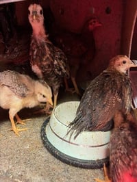 A1912491 - Photo 1