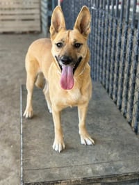 LILLY - Photo 1