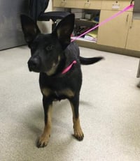 BAYLEE - Photo 1