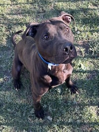DOUG - Photo 1