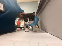 BETTY - Photo 1