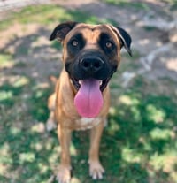 TUCKER - Photo 1