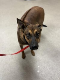 ZEUS - Photo 1