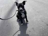 CHYNA - Photo 1