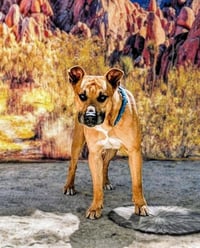 FINN - Photo 1