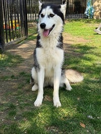 NOVA - Photo 1