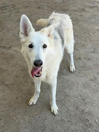 HEIDI - Photo 1