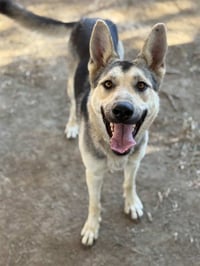 LUNA - Photo 1
