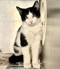 FLETCHER - Photo 1