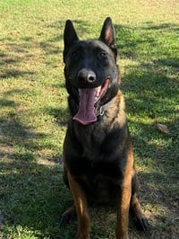 MAKO - Photo 1