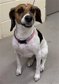 DARLA - Photo 1