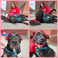 Chyna - - Photo 4