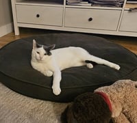 SMUDGE - Photo 1