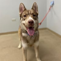 ZEUS - Photo 1