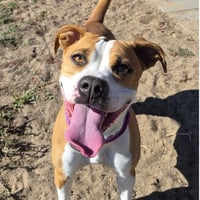 NALA - Photo 1