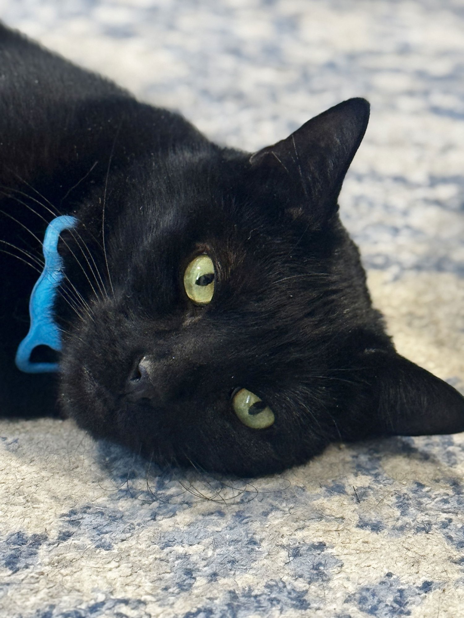 QUINCY