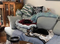 Chazzy & Ollie - Photo 5