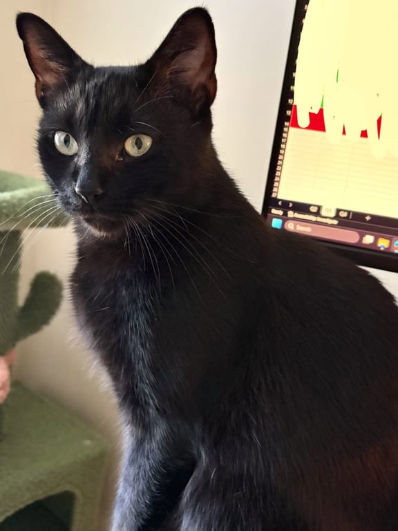 Jade Image