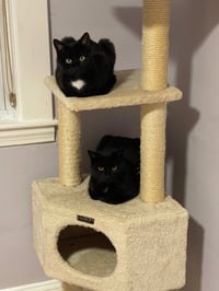 Bari and Gigi - Photo 3