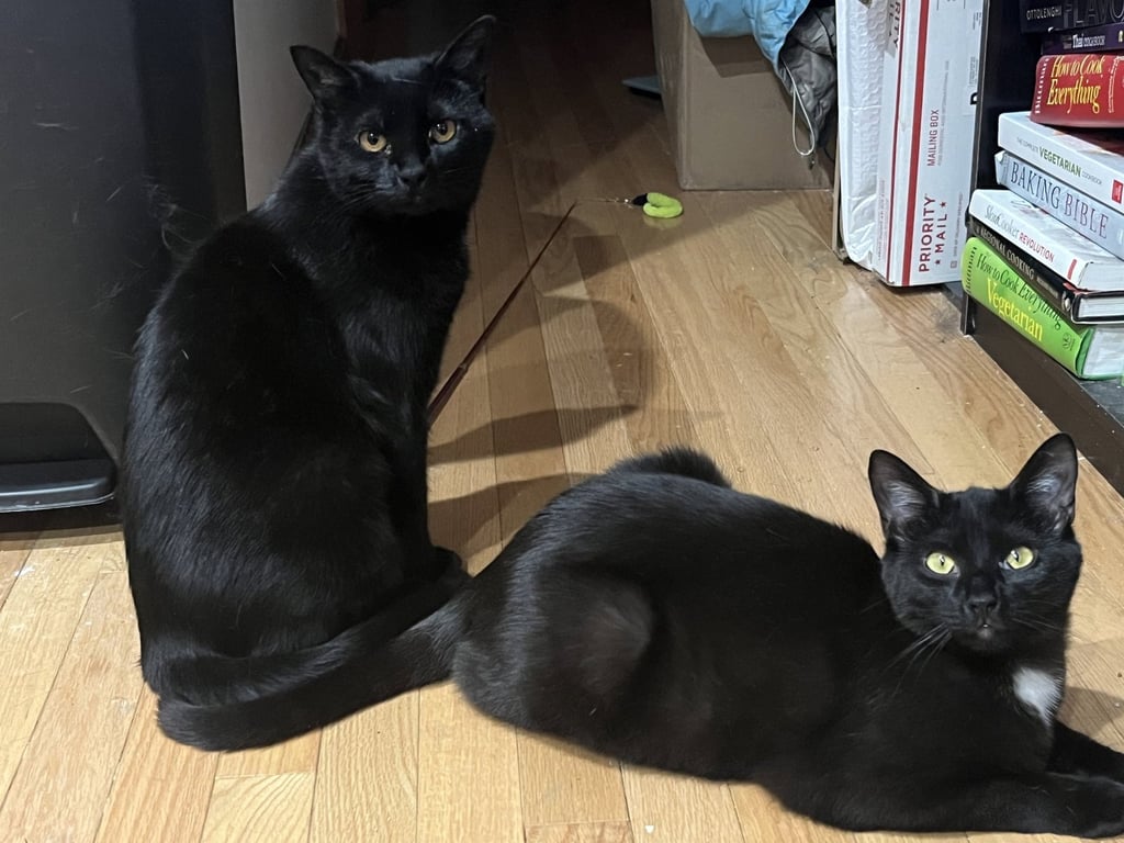 Bari and Gigi Image