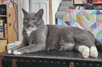 Bruce - Photo 3