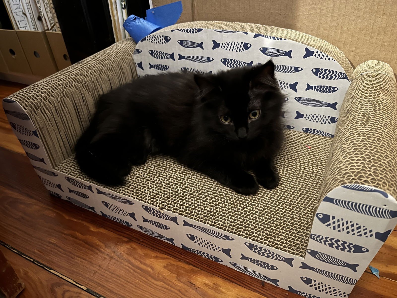 Rudy, Clarice and Hermie - Photo 3