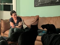 Bean & Momo - Photo 3