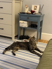 Waffles - Photo 4