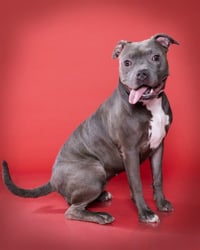 ALLEGRA - Photo 1