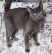 7031 (Rancher) - Photo 1