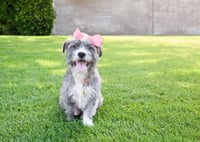 Momma gray - Photo 2